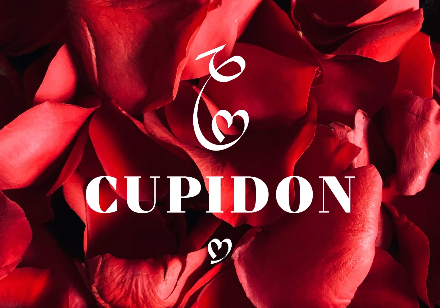 Logo Cupidon – identité visuelle romantique avec monogramme calligraphique et typographie serif blanche sur fond de pétales de roses