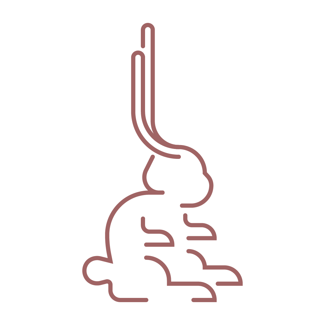 Illustration vectorielle au contour uniforme formant un lapin — Les Typos de Séb.